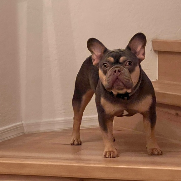 Katie’s Closet - Picture 4 of 4